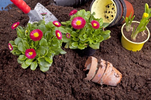 Healthy residential lawn care in Shirley with neatly cut green grass