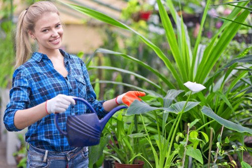 Overgrown garden being cleared in Shirley