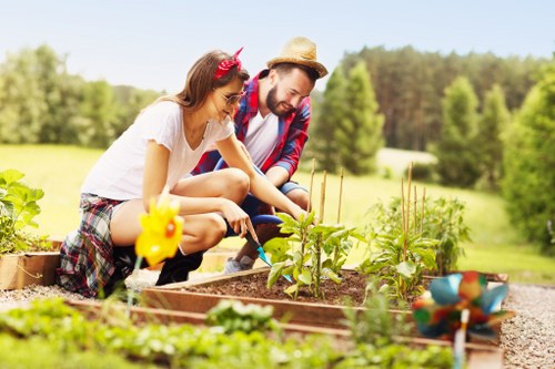 A professionally maintained garden space in Shirley