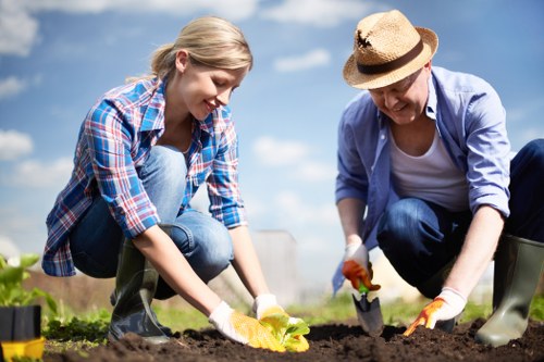 Professional garden maintenance in Shirley for healthy lawns and tidy outdoor spaces