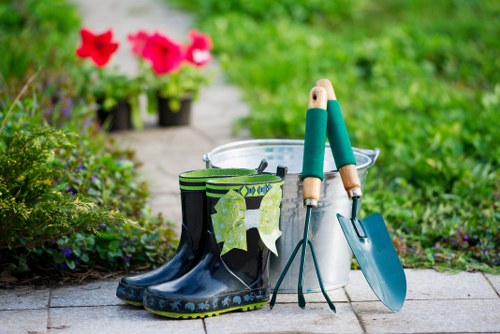 Healthy lawn and planted borders maintained by Shirley gardeners