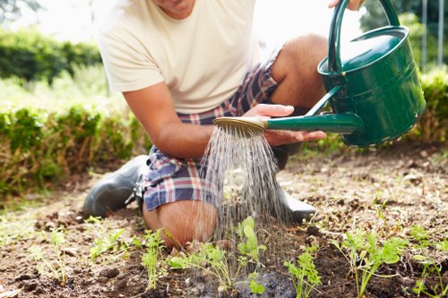 Hedge cutting and debris removal in a Shirley garden