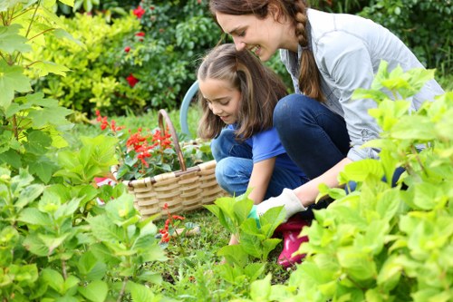 Seasonal hedge trimming in Shirley for healthy growth