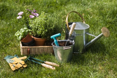 Seasonal lawn care in Shirley improving grass density and color