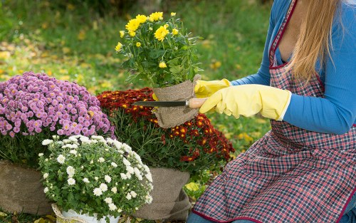 Seasonal garden maintenance by local gardeners in Shirley