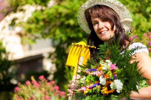 Regular gardening services in Shirley to keep lawns and borders well maintained