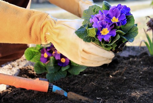 Analytics cookie monitoring for Shirley gardeners