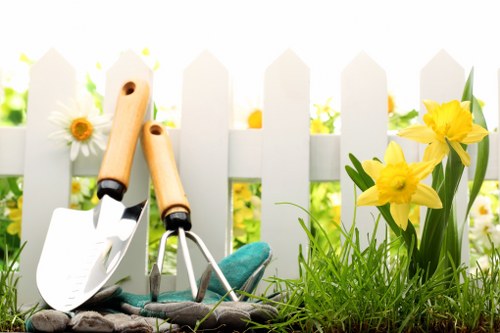 Local tree maintenance and removal work in Shirley