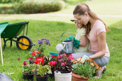 Seasonal garden maintenance in Shirley showing planting and hedge care