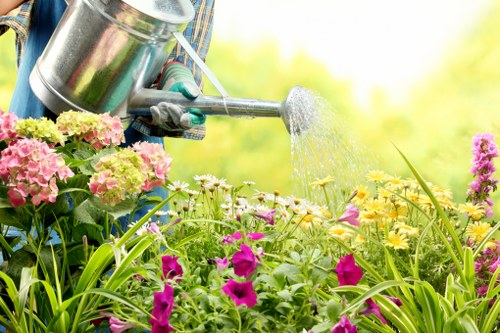 Local garden maintenance in Shirley with lawn care and hedge trimming