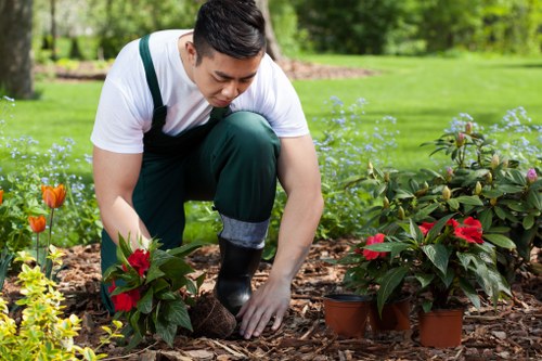 Mowing and edging services for a well-kept Shirley yard