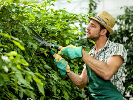 Garden waste and disposal compliance for service work