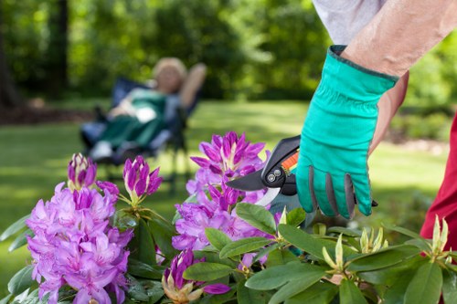 Autumn garden maintenance in Shirley with leaf clearance and pruning work