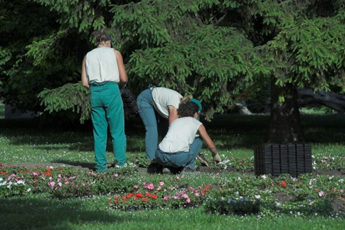 Follow-up discussion about a gardening issue