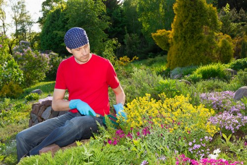 Shirley hedge maintenance improving garden shape and kerb appeal