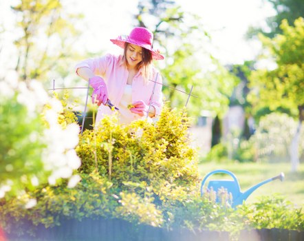 Professional gardeners in Shirley working on seasonal planting and pruning