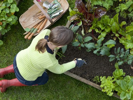 Seasonal planting ideas for landscape gardening in Shirley with shrubs and perennials