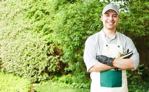 Inspecting garden work during a complaint resolution