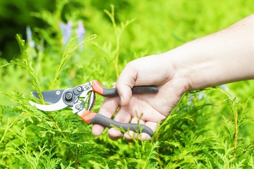 Professional Shirley gardeners using protective equipment during work