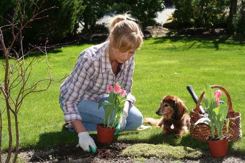 Local transfer station handling green waste for recovery