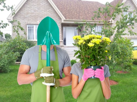 Precise hedge cutting in Shirley for tidy boundaries