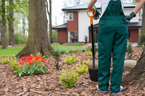 Reporting channels and accountability in Shirley garden services
