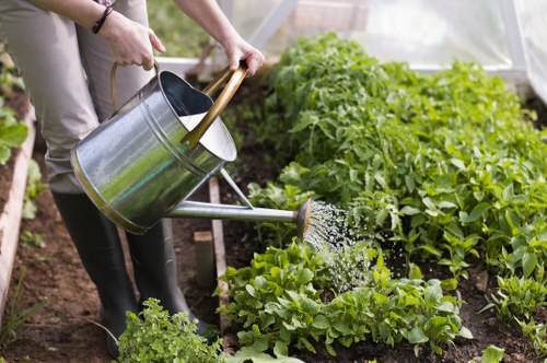 Summer garden maintenance in Shirley with lawn mowing and flower bed upkeep