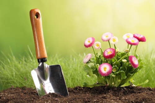 Reliable garden care and hedge shaping in Shirley