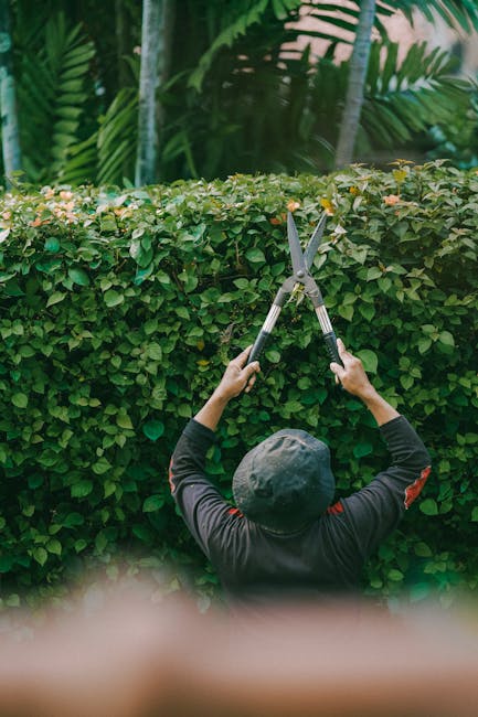 A man wearing glasses, a dark hoodie, and jeans, is mowing a lush green lawn with a bright orange electric grass trimmer in a residential garden. The garden features a flower bed with blooming white a